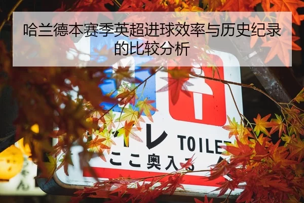哈兰德本赛季英超进球效率与历史纪录的比较分析